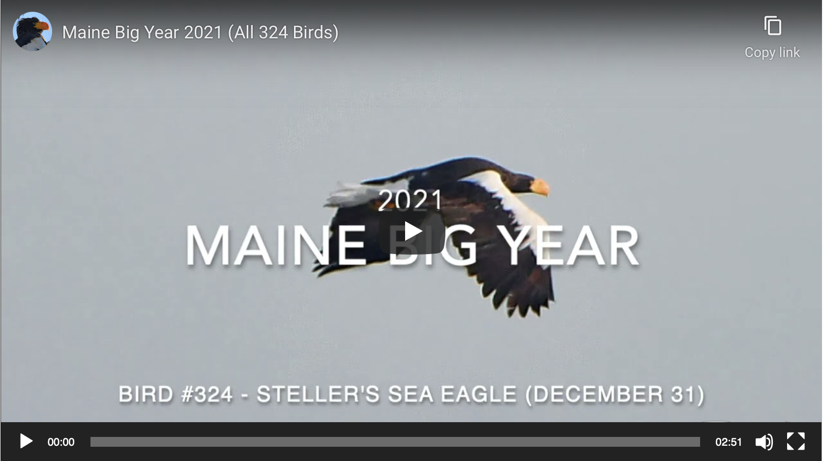 Maine Big Year Video Stories