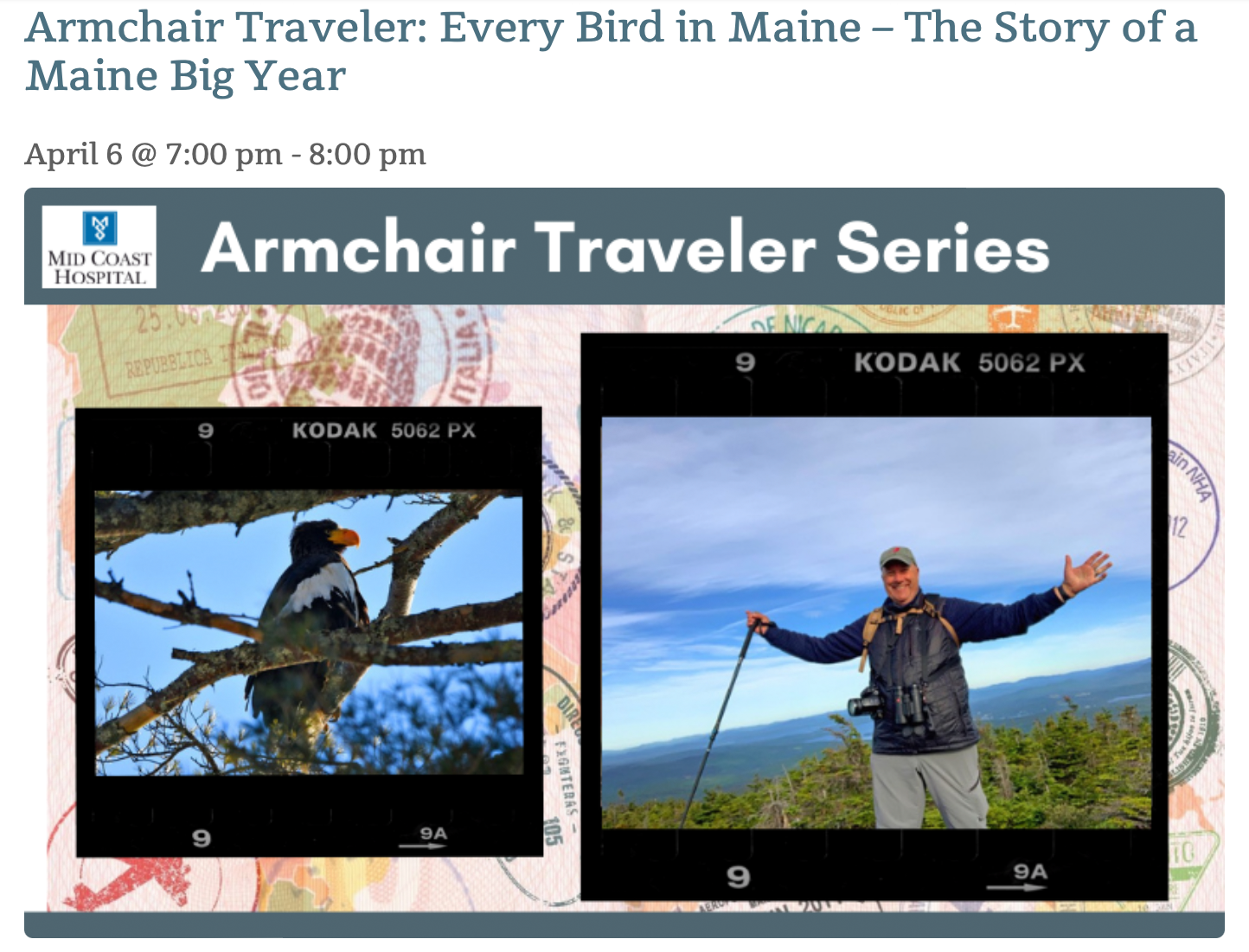 Every Bird in Maine